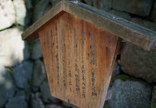 201004171554-DSC09808.jpg