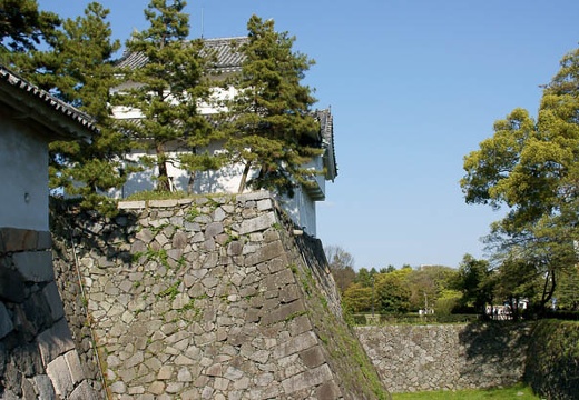 201004171556-DSC09811.jpg