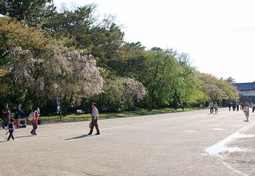 201004171556-DSC09812.jpg