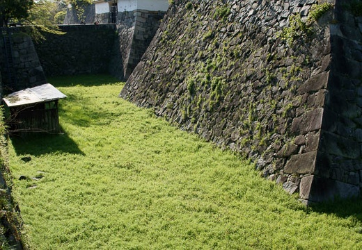 201004171603-DSC09830.jpg