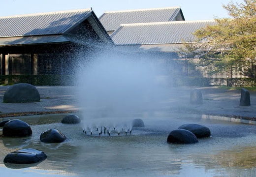 201004171710-DSC09983.jpg