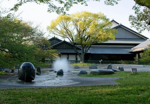 201004171713-DSC09994.jpg