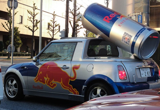 201004171754-DSC00523.jpg