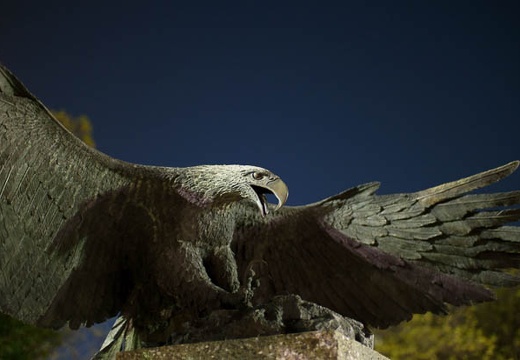 201004172126-DSC00123.jpg