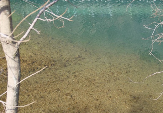 201004180815-DSC00187.jpg