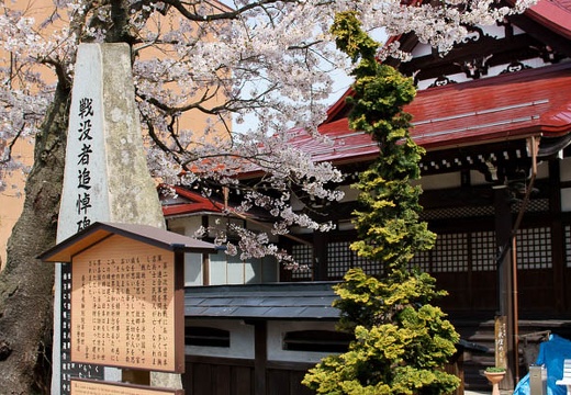 201004180912-DSC00223.jpg