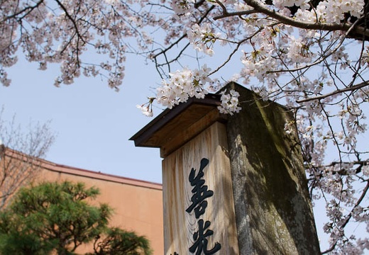 201004180912-DSC00224.jpg