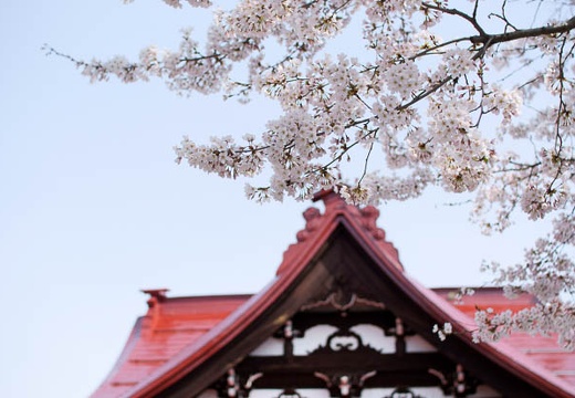 201004180912-DSC00225.jpg