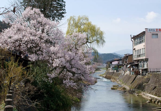 201004180944-DSC00300.jpg