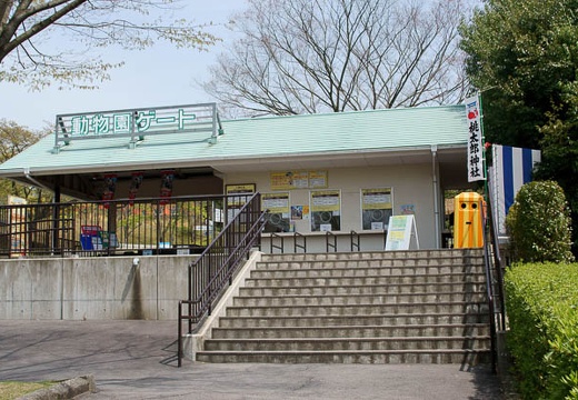 201004191227-DSC00761.jpg