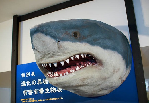 201004191231-DSC00768.jpg