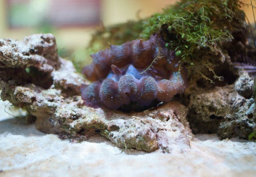 201004191236-DSC00781.jpg