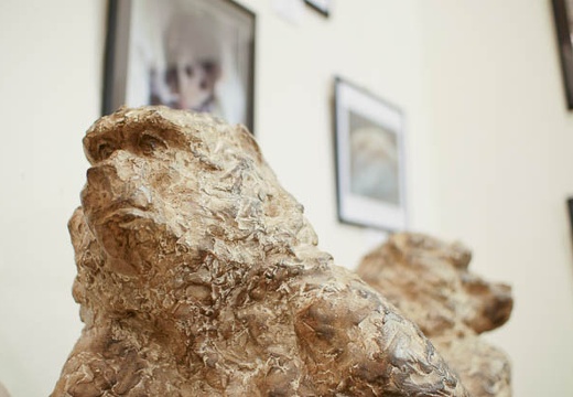 201004191239-DSC00786.jpg