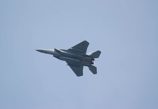 201004191244-DSC00798.jpg