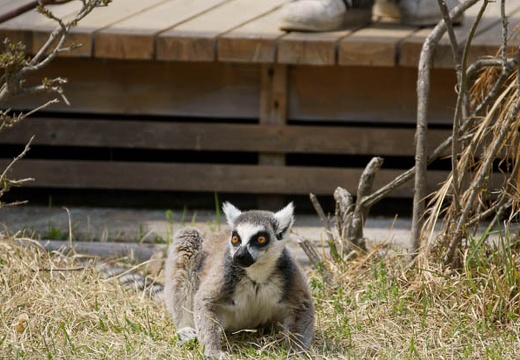 201004191312-DSC00869.jpg