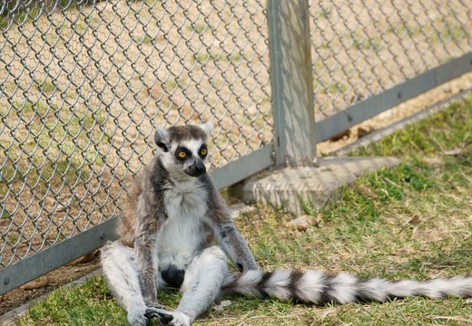 201004191316-DSC00885.jpg