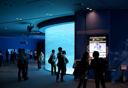 201004201019-DSC01243.jpg