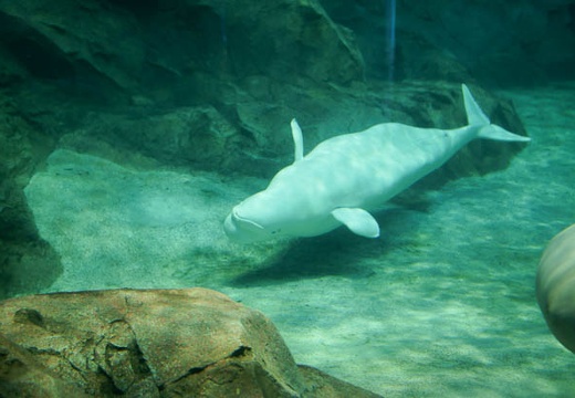 201004201021-DSC01248.jpg