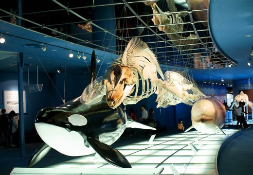 201004201025-DSC01267.jpg