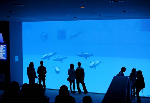 201004201029-DSC01278.jpg