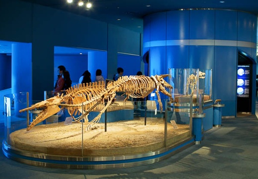 201004201033-DSC01292.jpg