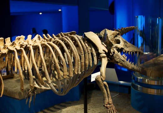 201004201033-DSC01294.jpg