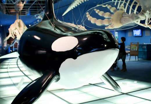 201004201042-DSC01316.jpg