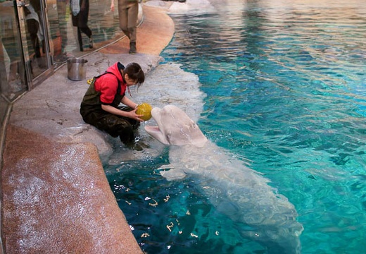 201004201045-DSC01321.jpg