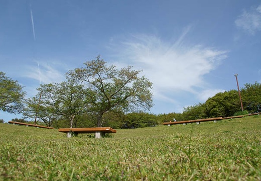201004210856-DSC02043.jpg