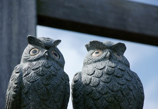 201004210943-DSC02065.jpg