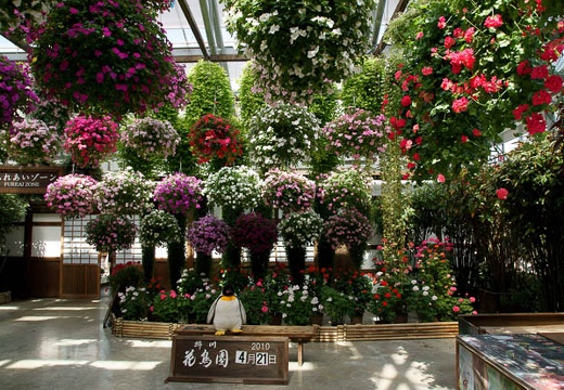 201004211005-DSC02145.jpg
