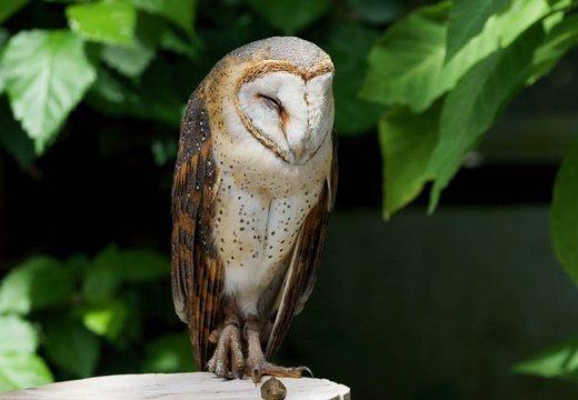 201004211009-DSC02165.jpg