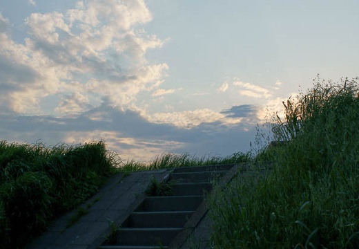 201004251746-DSC03097.jpg