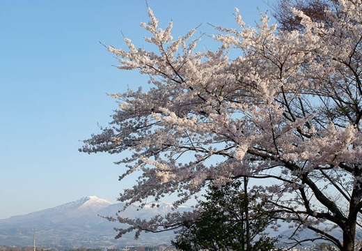 201004260620-DSC03138.jpg