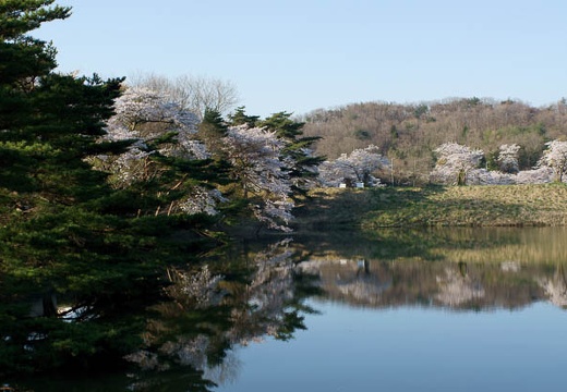 201004260627-DSC03154.jpg
