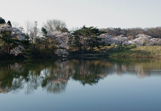 201004260631-DSC03166.jpg