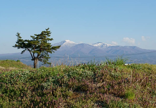 201004260635-DSC03174.jpg