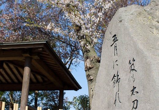 201004260743-DSC03215.jpg