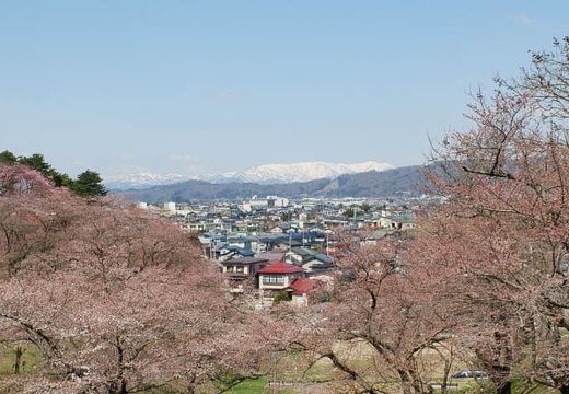 201004260945-DSC03242.jpg
