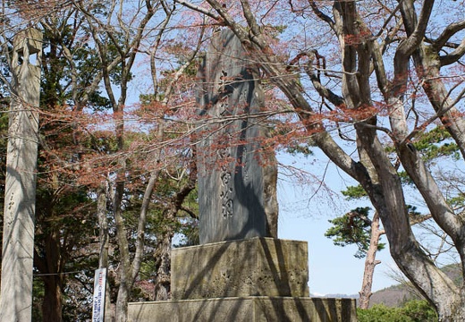 201004260947-DSC03243.jpg