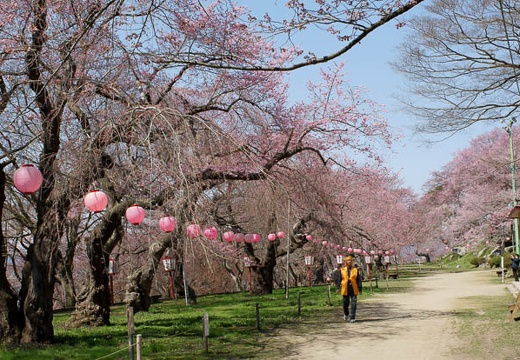 201004260948-DSC03245.jpg