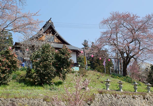 201004260950-DSC03248.jpg
