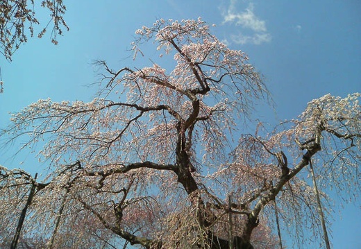 20100426095416-SO902i.jpg