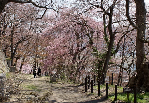 201004260955-DSC03258.jpg
