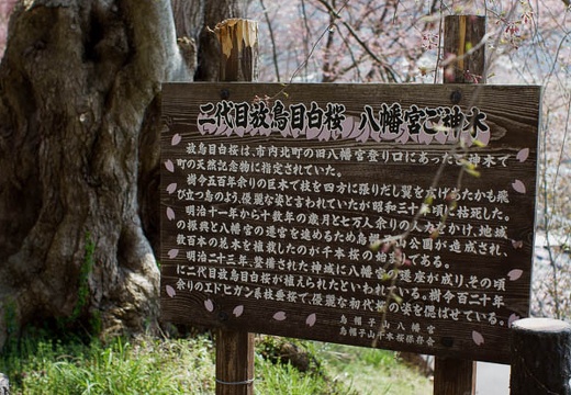 201004260955-DSC03259.jpg