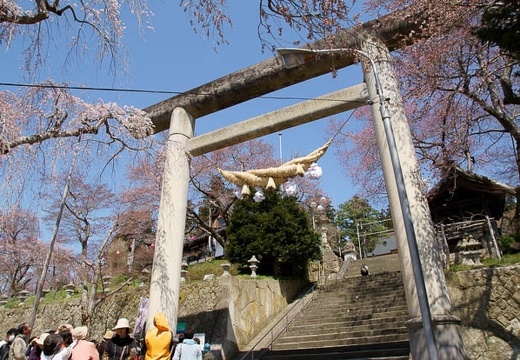 201004260956-DSC03262.jpg