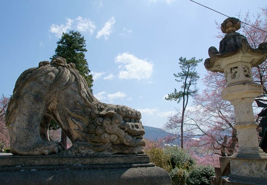 201004260958-DSC03265.jpg