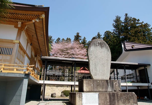 201004260959-DSC03267.jpg