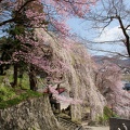 201004261026-DSC03329.jpg