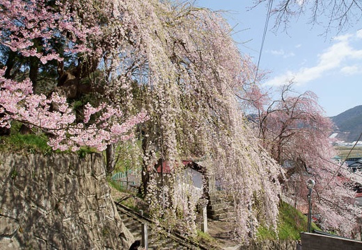 04.26 烏帽子山公園、白石城